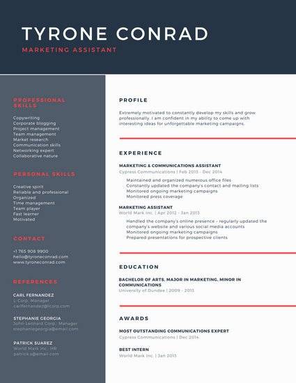 professional-resume-template
